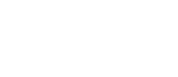 ICON LOGO W